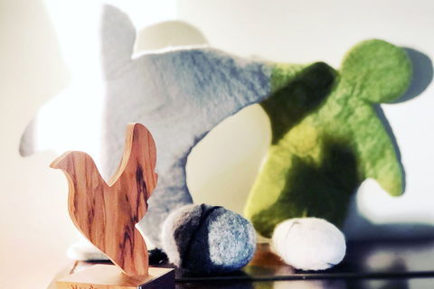 Пряма дія Інженерів Порозуміння (2019-2021)